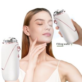 Hyperbaric Oxygen Injection Facial Sprayer Water Spray Moisturizing Steamer Cosmetology Face Spa Machine Skin UnclogTool